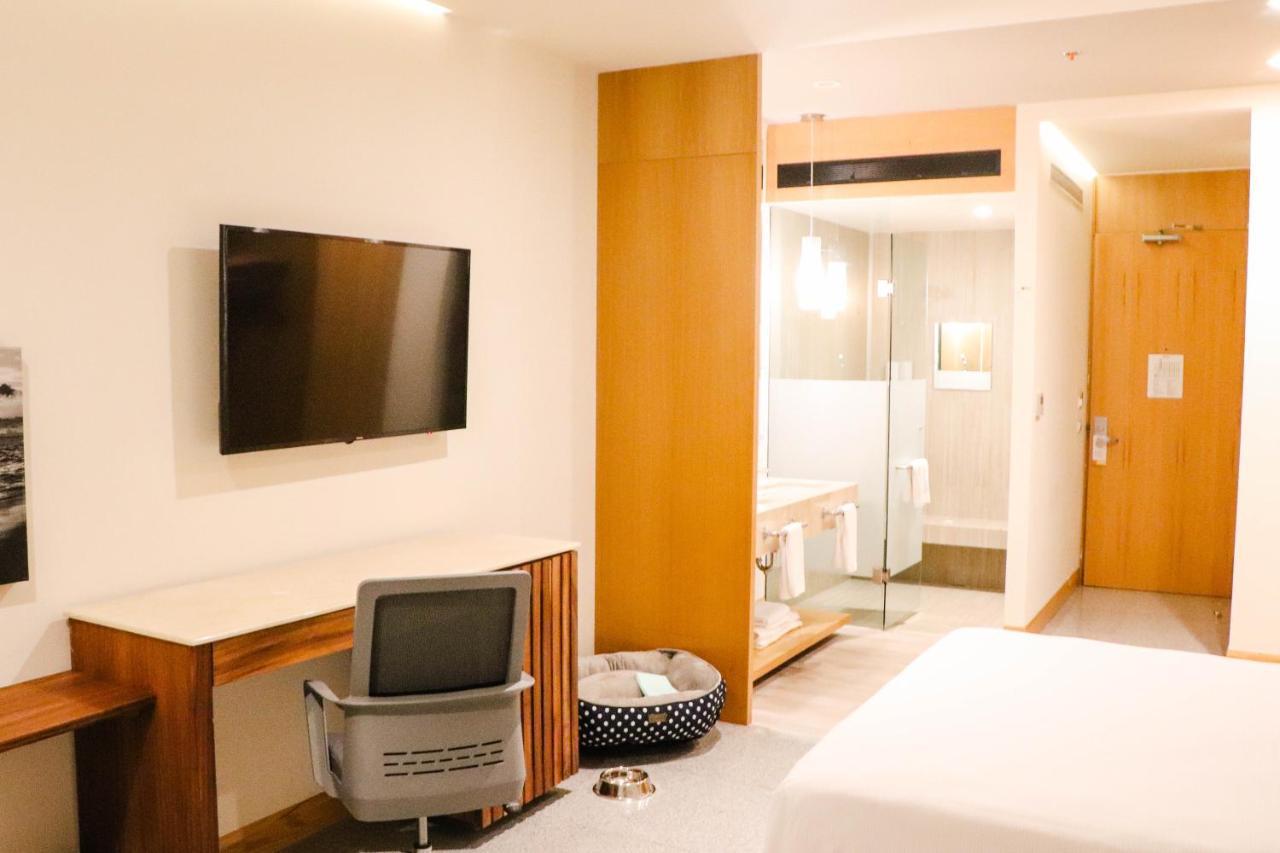 Hotel Mio Vallarta Unique & Different- Adults Only Puerto Vallarta Exteriör bild A room at the hotel